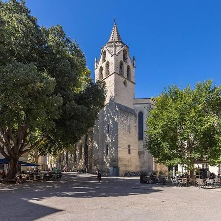אביניון Cocon Douillet Avec Vue - Intramuros מראה חיצוני תמונה